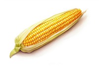 Elote maxican food plant corn white background. AI generated Image by rawpixel.