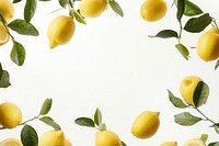 Flying lemons backgrounds fruit plant.