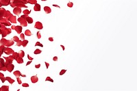 Flying red rose petals backgrounds plant white background.