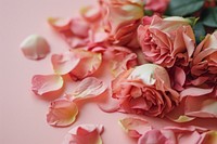  Rose petals flower plant inflorescence. AI generated Image by rawpixel.
