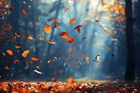 Autumn leaves backgrounds forest flying.