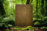 Blank gravestone tree outdoors woodland. AI generated Image by rawpixel.
