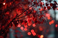  Heart bokeh backgrounds plant leaf. AI generated Image by rawpixel.