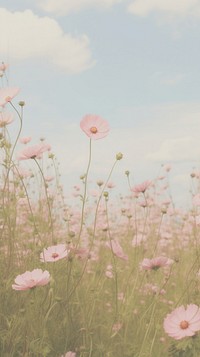  Pink flowers landscape backgrounds grassland. AI generated Image by rawpixel.