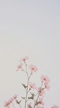  Pink flowers outdoors blossom nature. AI generated Image by rawpixel.
