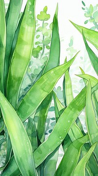  Aloevera green plant leaf. AI generated Image by rawpixel.