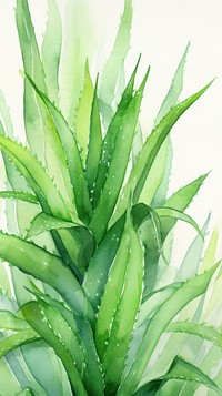  Aloevera plant green xanthorrhoeaceae. AI generated Image by rawpixel.