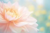 Bouquet blossom flower dahlia. AI generated Image by rawpixel.