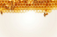 Honey hive backgrounds honeycomb insect.