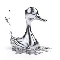 Dripping duck reflection splashing wildlife.