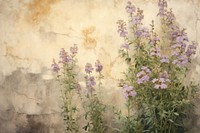 Blooming wallflowers overgrown painting purple backgrounds.
