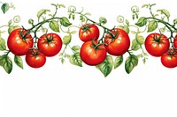 Tomatoes vegetable plant food.
