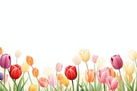 Tulips backgrounds outdoors flower.