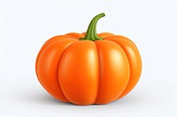 Pumpkin vegetable plant food.