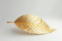 Leaf plant gold accessories.