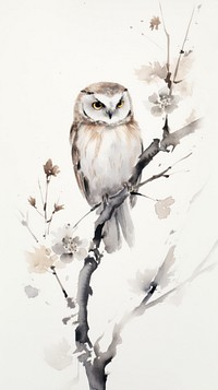 Owl painting drawing animal.