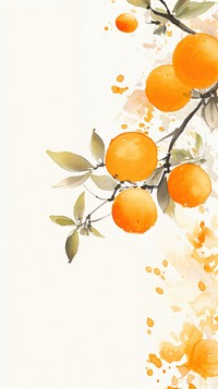 Backgrounds grapefruit orange plant.