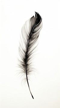 Feather white text lightweight.