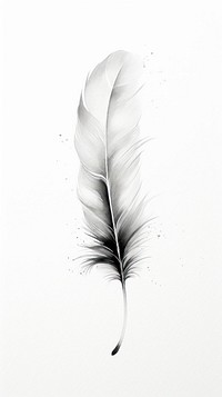 Feather drawing sketch white.