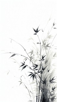 Backgrounds plant white monochrome.