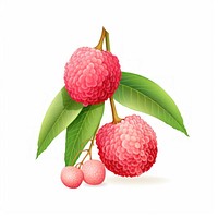 Lychee raspberry fruit plant.