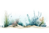 Sea outdoors nature white background.