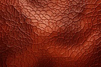  Leather backgrounds texture textured. 