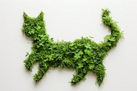 Cat shape made from Plant plant nature green.