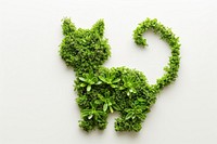 Cat shape made from Plant plant green leaf.