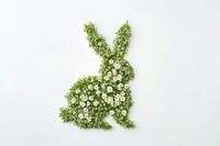 Rabbit shape made from little flower nature plant white.