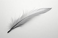 Feather lightweight accessories monochrome.