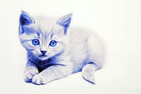Drawing of a kitten animal mammal sketch.