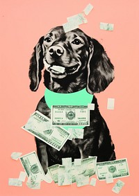 Dog holding money animal mammal pet.