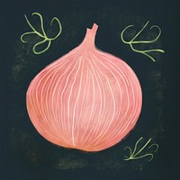 Chalk style onion blackboard vegetable shallot.