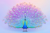 Peacock holography animal bird creativity.