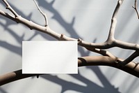 Business card on a branch plant paper white.