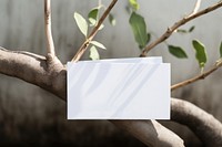 Business card on a branch plant paper white.