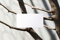 Business card on a branch plant white paper.