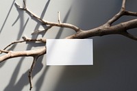 Business card on a branch paper white text.