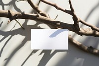 Business card on a branch plant paper white.