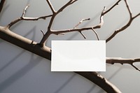 Business card on a branch white wood text.