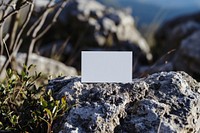 Business card on a rock outdoors nature plant.