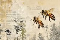 Honeybees animal insect paper.