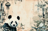 A panda backgrounds animal mammal.