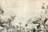 Magnolia backgrounds pattern flower.
