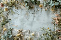 Dried elements flower backgrounds outdoors.