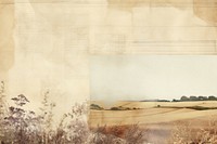 Wheat field backgrounds landscape.