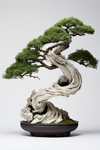  Bonsai tree plant green. AI generated Image by rawpixel.