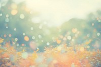  Dreamy pastel Romantic Autumn forest background backgrounds sunlight outdoors. AI generated Image by rawpixel.