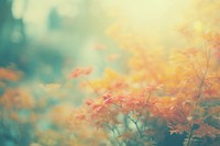  Dreamy pastel Romantic Autumn forest background autumn backgrounds sunlight. AI generated Image by rawpixel.